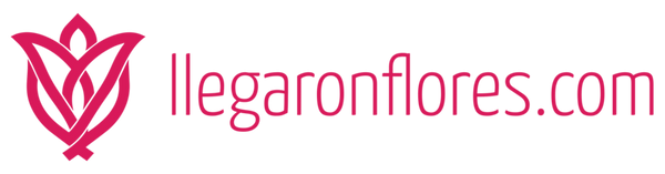 llegaronflores.com